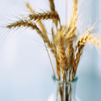 有哪些行業(yè)必須辦理的許可證